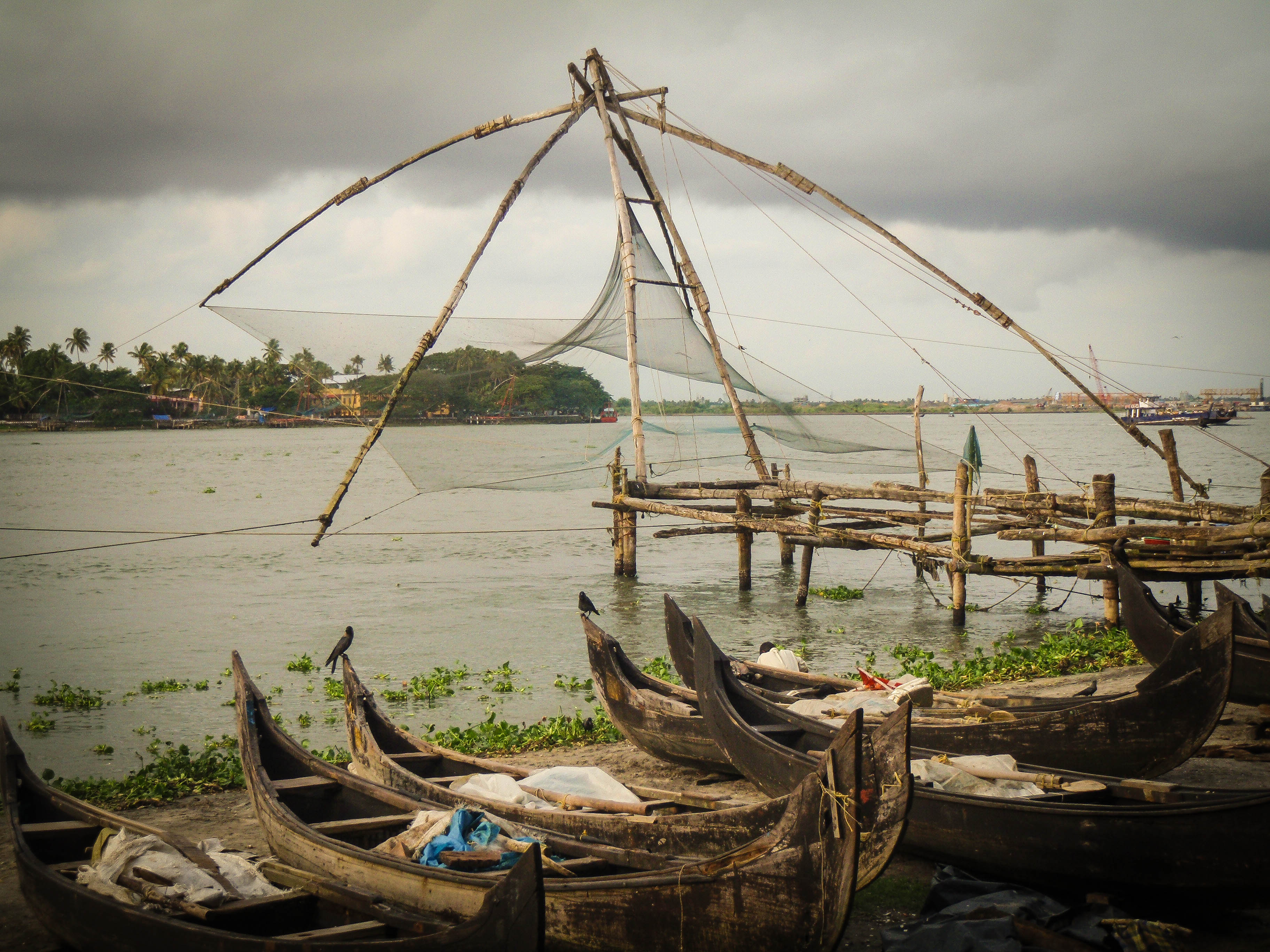 Kinesisk fiskehåv i Fort Cochin, Kerala 